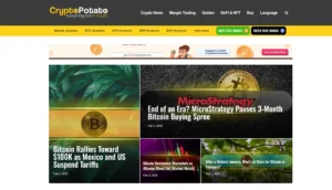 صفحه اول وبسایت ارزدیجیتال crypto potato