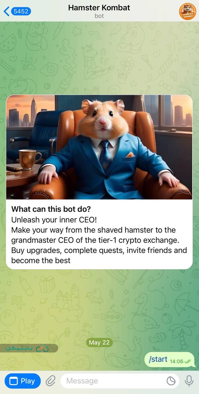 hamester1 بازی همستر کمبات تلگرام