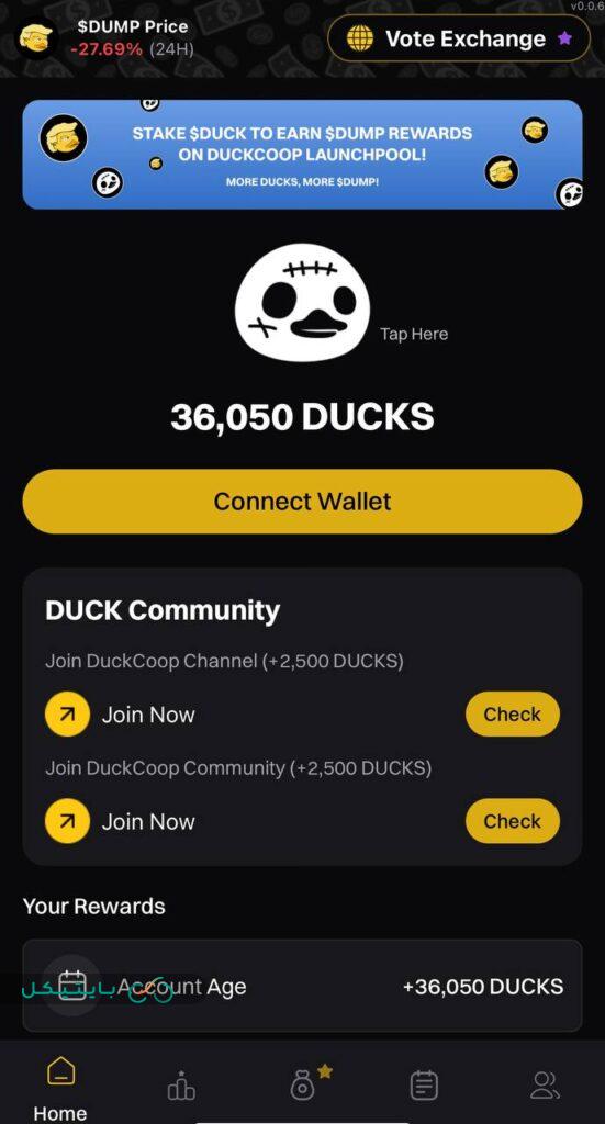 بازی داکز(Ducks) مشابه بازی داگز(Dogs) برای درامدزایی