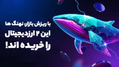 در ریزش بیت کوین، نهنگ ها این 2 ارزدیجیتال جذاب را خریداری کرده اند!