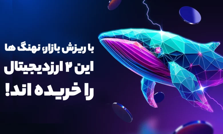 در ریزش بیت کوین، نهنگ ها این 2 ارزدیجیتال جذاب را خریداری کرده اند!