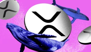 ریپل