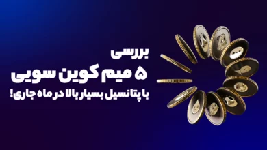 بررسی 5 میم کوین سویی با پتانسیل بسیار بالا در ماه جاری!