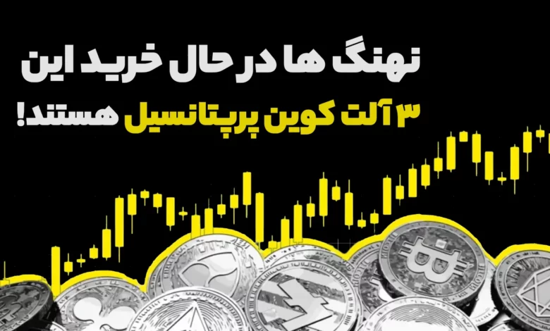 نهنگ ها در حال خرید این 3 آلت کوین پر پتانسیل هستند!