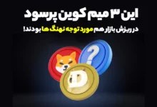 این 3 میم کوین پرسود حتی در ریزش بازار هم مورد توجه نهنگ ها بودند!