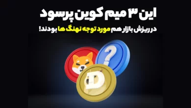 این 3 میم کوین پرسود حتی در ریزش بازار هم مورد توجه نهنگ ها بودند!