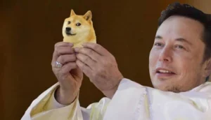 میم کوین پرسود دوج کوین (DOGE)