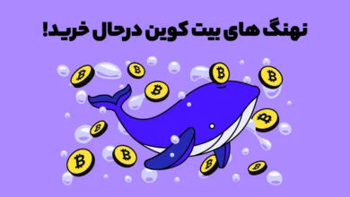 نهنگ های بیت کوین سخت درحال خرید! آیا بازار کف خود را دیده است؟