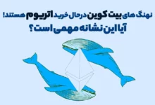 نهنگ های بیت کوین درحال خرید اتریوم هستند! آیا این نشانه مهمی است؟