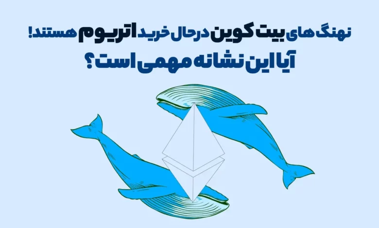 نهنگ های بیت کوین درحال خرید اتریوم هستند! آیا این نشانه مهمی است؟