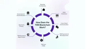 نحوه کارکرد بلاک چین تون