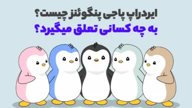 ایردراپ پاجی پنگوئنز چیست و به چه کسانی تعلق میگیرد؟
