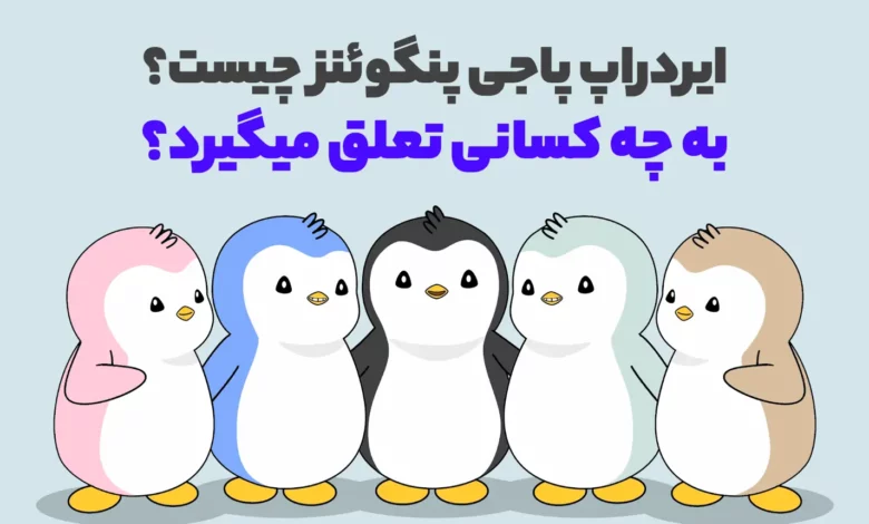 ایردراپ پاجی پنگوئنز چیست و به چه کسانی تعلق میگیرد؟