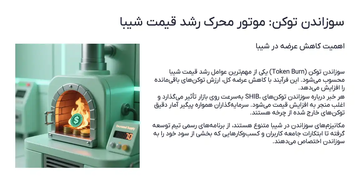 سوزاندن توکن