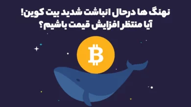 نهنگ ها درحال انباشت شدید بیت کوین! آیا منتظر افزایش قیمت باشیم؟