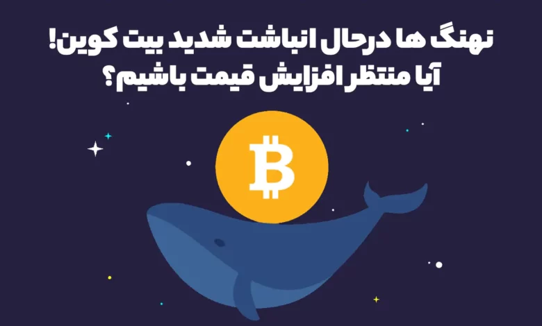نهنگ ها درحال انباشت شدید بیت کوین! آیا منتظر افزایش قیمت باشیم؟