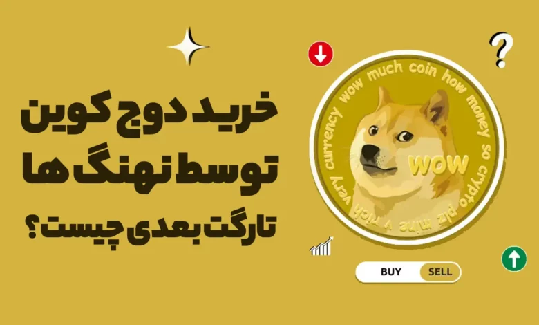 خرید سنگین دوج کوین توسط نهنگ ها