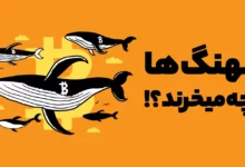 کدام ارزهای دیجیتال درحال خریده شدن توسط نهنگ ها هستند؟