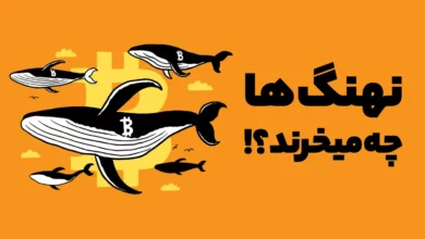 کدام ارزهای دیجیتال درحال خریده شدن توسط نهنگ ها هستند؟