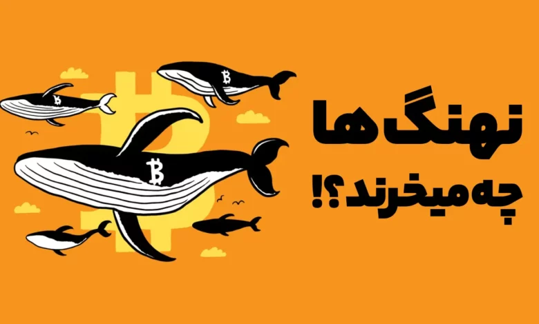 کدام ارزهای دیجیتال درحال خریده شدن توسط نهنگ ها هستند؟