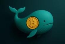 با ریزش بیت کوین به زیر 92 هزاردلار، مجددا نهنگ ها درحال خرید هستند!