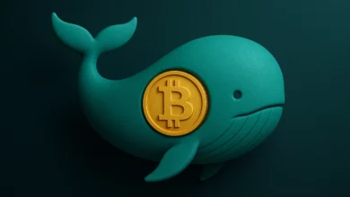 با ریزش بیت کوین به زیر 92 هزاردلار، مجددا نهنگ ها درحال خرید هستند!