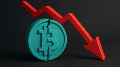 دلیل ریزش شدید بیت کوین در چند هفته گذشته چیست؟