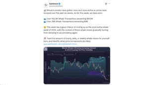 با ریزش بیت کوین به زیر 92 هزاردلار، مجددا نهنگ ها درحال خرید هستند!