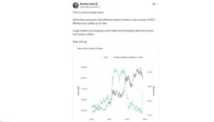 با ریزش بیت کوین به زیر 92 هزاردلار، مجددا نهنگ ها درحال خرید هستند!