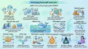 اکوسیستم و اصطلاحات کاربردی کریپتو