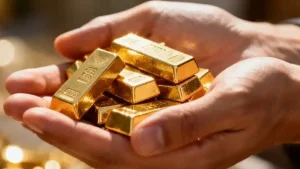 داستان ورشکستگی یکی از پلتفرم های طلا با ۲۰۰ هزار کاربر!
