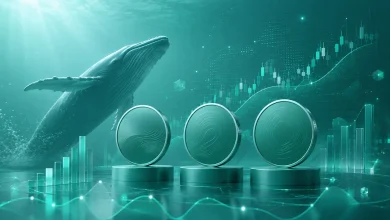 بررسی ۳ آلت کوین جذاب مورد توجه نهنگ ها در پاییز ۲۰۲۶